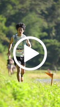 BIB:  <button type="button" onclick="openModal(26577266)" class="btn btn-primary btn-sm float-right" data-toggle="modal" data-target=".modal-high-quality">
                <i class="fa fa-download"></i> Download
                </button>